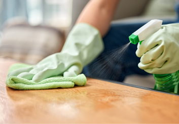 WOODEN FURNITURE CLEANER AND CARE [IC-26-06]