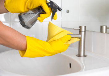 DISINFECTING SPRAY WITH LACTIC AND AMIDOSULFONIC ACID MIXTURE [DSLAA-01]