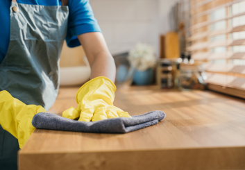 GENTLE WOOD FURNITURE CLEANER [GWFC-01]