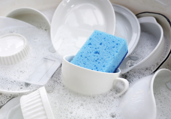 HAND DISHWASHING LIQUID [HDL-01]