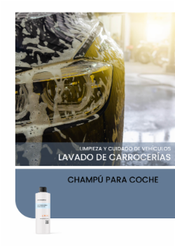 CHAMPÚ PARA COCHE