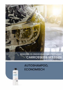 AUTOSHAMPOO, ECONOMISCH