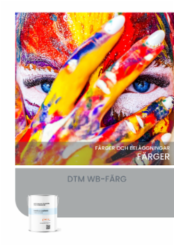DTM WB-FÄRG