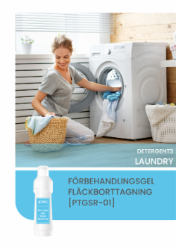 FÖRBEHANDLINGSGEL FLÄCKBORTTAGNING [PTGSR-01]