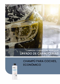 CHAMPÚ PARA COCHES, ECONÓMICO