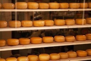 Regale mit mikrobiologisch stabilisiertem Käse