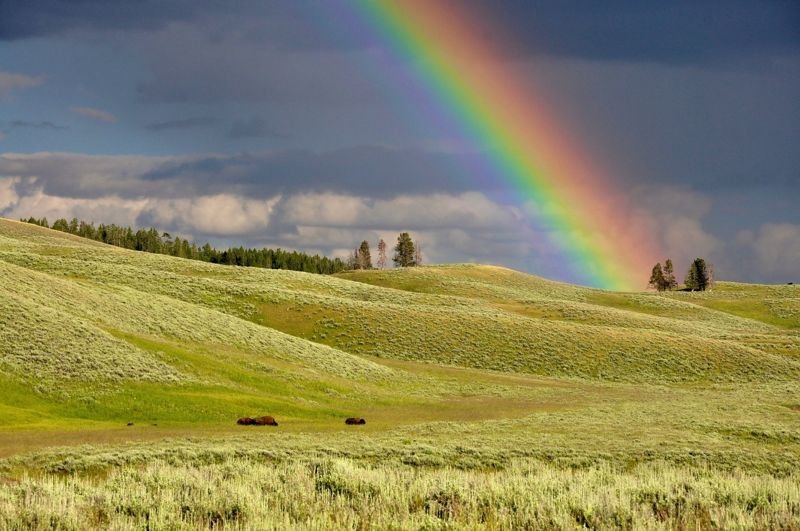 Regenbogen - welche Farben sehen wir