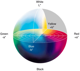 Jak opisujemy kolory? Modele barw niezależnych - Portal Produktowy Grupy PCC