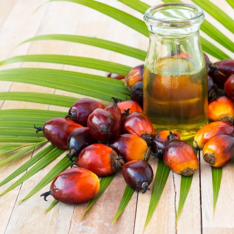 Impacts de l'huile de Palme sur la santé