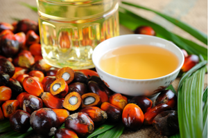 Facts of Palm Kernel Oil and How the Oil is Extraced?