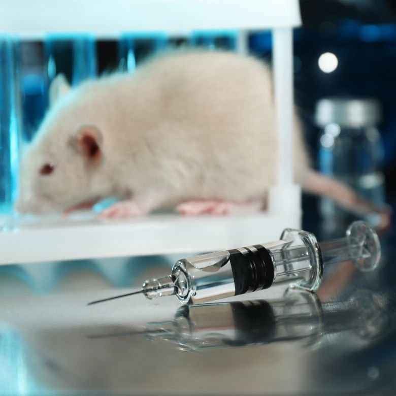 Animal testing in the cosmetic industry. What should you know? - PCC Group  Product Portal