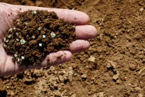 Es momento de rectificar la calidad de tu suelo con cal agrícola