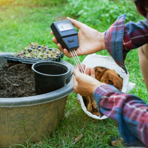 pH et pH du sol : pourquoi sont-ils si importants pour la croissance ...