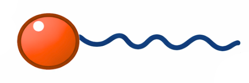 estrutura química de surfactante não iônico