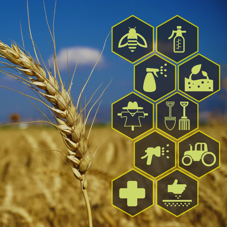 Зелёное сельскохозяйственное поле с ровными рядами растений, уходящими к горизонту под облачным небом.