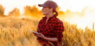 Solid broadcast fertilizers